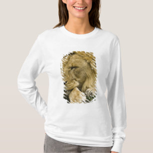 T-shirt Leão Africano, Panthera leo, deitado dormindo
