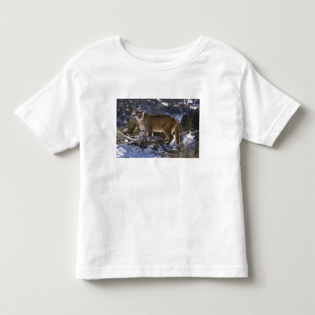 T-shirt Leão-da-montanha (Frente)