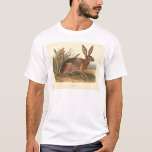 T-shirt Lebre de Califórnia por Audubon (0177A)