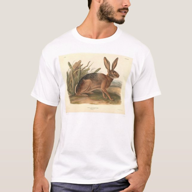 T-shirt Lebre de Califórnia por Audubon (0177A) (Frente)