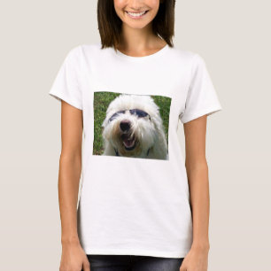 T-shirt Legal Coton de Tulear