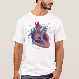 T-shirt legal da anatomia do coração