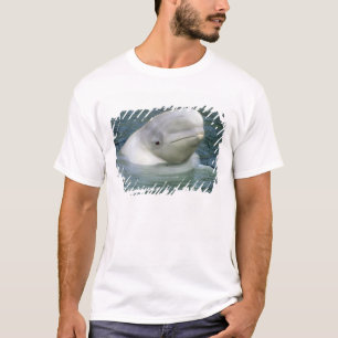 T-shirt Leucas da baleia, do Delphinapterus da beluga),