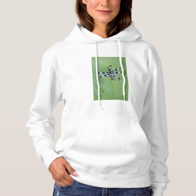 T-shirt Libélula pousada na grama, Canadá (Frente)