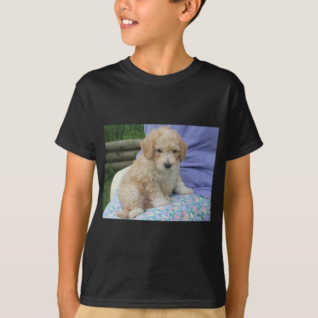 T-shirt Lindo cachorrinho cavapoo olhando para você, isola (Frente)
