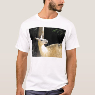 T-shirt Llama alimentando