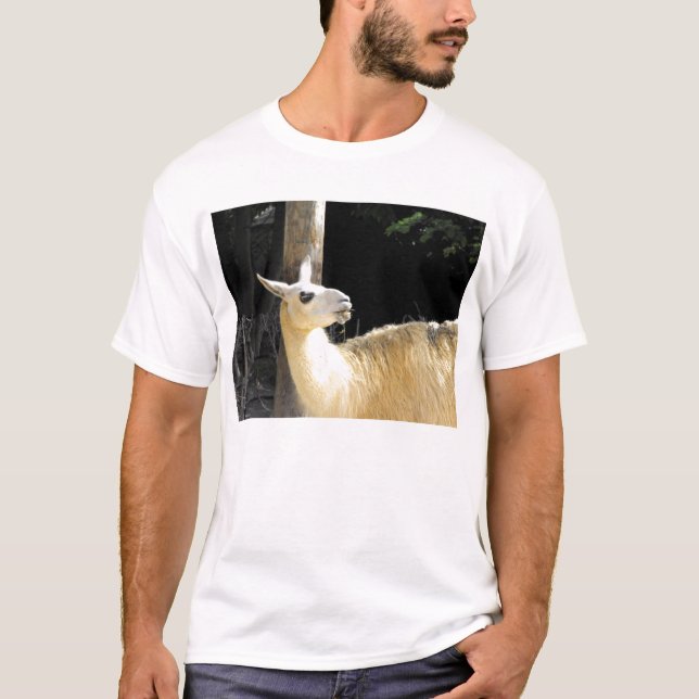 T-shirt Llama alimentando (Frente)