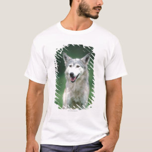 T-shirt Lobo cinzento 2