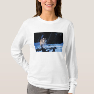 T-shirt lobo cinzento, Canis lupus, nos contrafortes