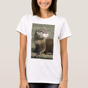 T-shirt Lontra bonito do bebê