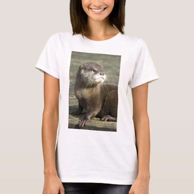 T-shirt Lontra bonito do bebê (Frente)