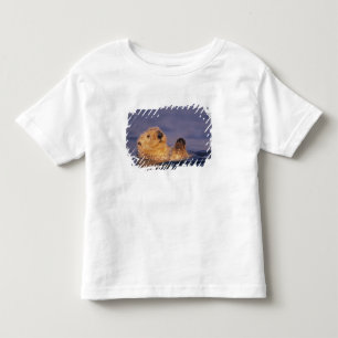 T-shirt Lontras Marinhas, Enhydra lutris 2