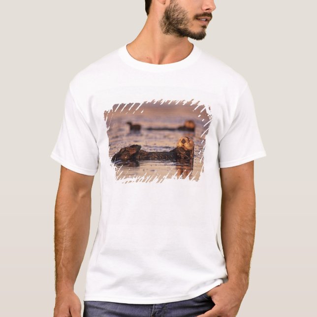 T-shirt Lontras Marinhas, Enhydra lutris 3 (Frente)