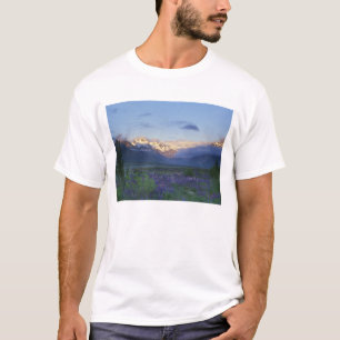T-shirt Lupino e a Divisão Principal, Arthur's Pass, Sul