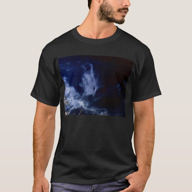 T-shirt Luz - nuvens azuis da cabeça do dragão e Branche (Frente)