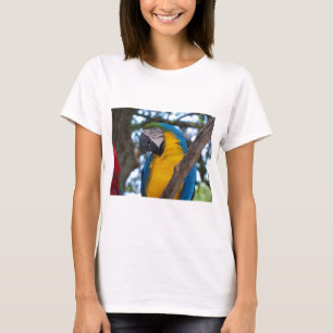 T-shirt Maca tropical verde-amarela e azul