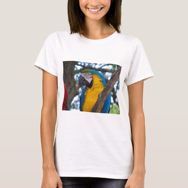 T-shirt Maca tropical verde-amarela e azul (Frente)