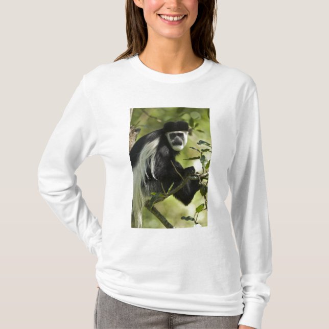 T-shirt Macaco Colobo Preto e Branco (Frente)