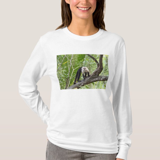 T-shirt Macaco na selva (Frente)