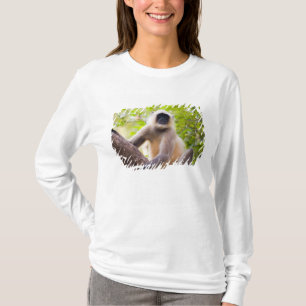 T-shirt Macaco na selva do Parque Nacional de Ranthambore