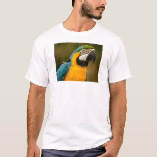 T-shirt macaw