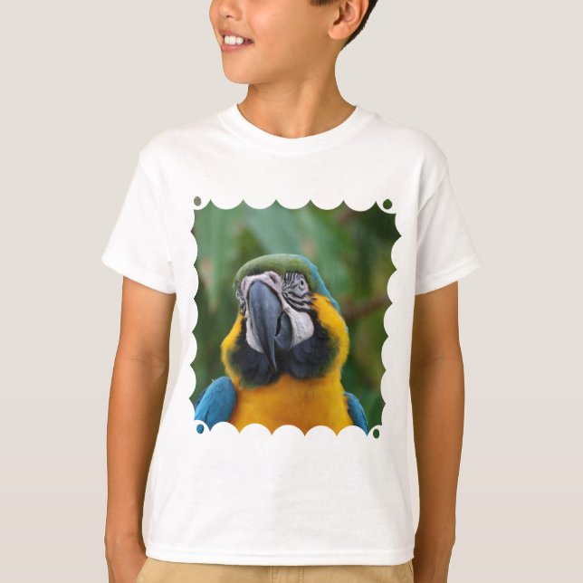 T-shirt Macaw azul e Dourado doce (Frente)