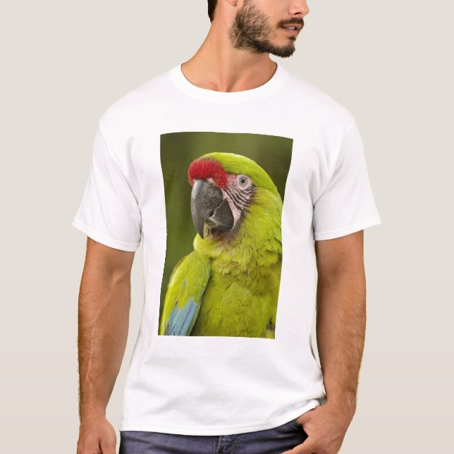 T-shirt Macaw Militar (Frente)