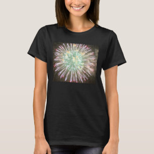 T-shirt macio do conforto do Hanes das mulheres