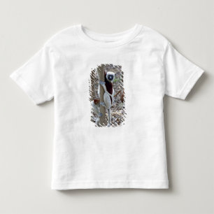 T-shirt Madagascar, Reserva Ankarafantsika; Ampijoroa;