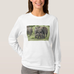 T-shirt Manada de elefantes africanos, Loxodonta africana,