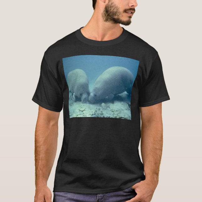 T-shirt Manatee (Frente)