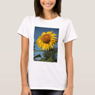 T-shirt Manhã Girassol