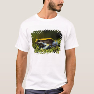 T-shirt Mantela-de-orelha-preta, Mantella expectata,