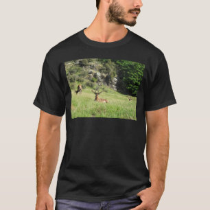 T-shirt Marcas da Nova Zelândia