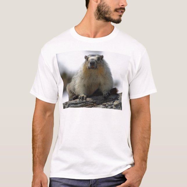 T-shirt Marmota inchada amarelo (Frente)