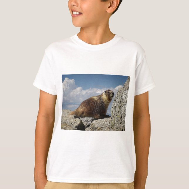 T-shirt Marmote Amarelo-Marmorta em Yosemite (Frente)