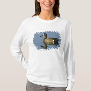 T-shirt Marreca-pintada, Anas discors,macho, Port