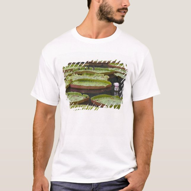T-shirt Maurícia, Pamplemousses, SSR Botânico (Frente)