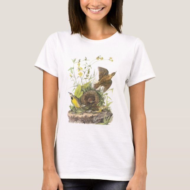 T-shirt Meadowlark oriental por Audubon (Frente)