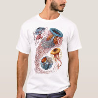 Medusa de Haeckel