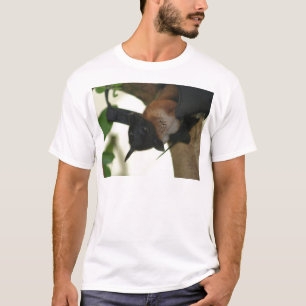T-shirt Megabat indiano gigante