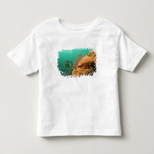 T-shirt mergulhador & peixe-escorpião Scorpanopsis