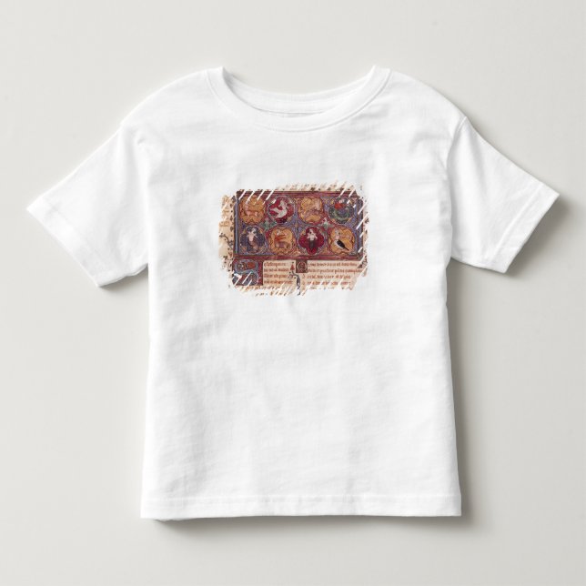 T-shirt Metamorfoses, de Ovid Moralize (Frente)