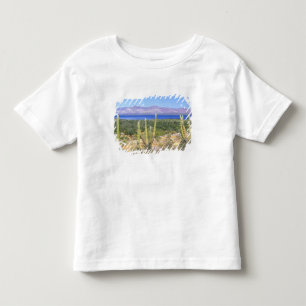 T-shirt México, Baja California Sur, Cardon Cactus em