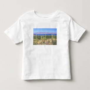 T-shirt México, Baja California Sur, Cardon Cactus em