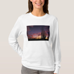 T-shirt México, Baja del Norte, Catavina Desert National 3