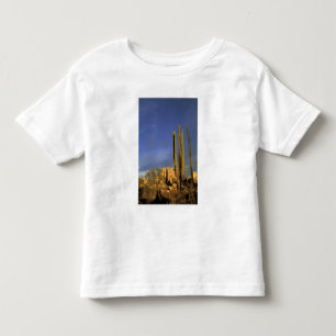 T-shirt México, Baja del Norte, Deserto Nacional de Catavi
