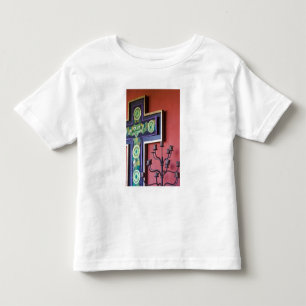T-shirt México, estado de Guanajuato, San Miguel. Casa de