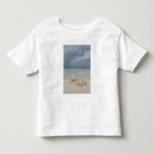 T-shirt México, Yucatán, Ilha Mujeres Ilha de
