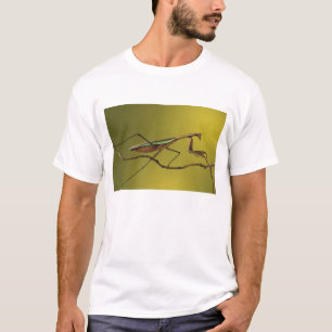 T-shirt Michigan, Rochester Hills. Louva-a-deus